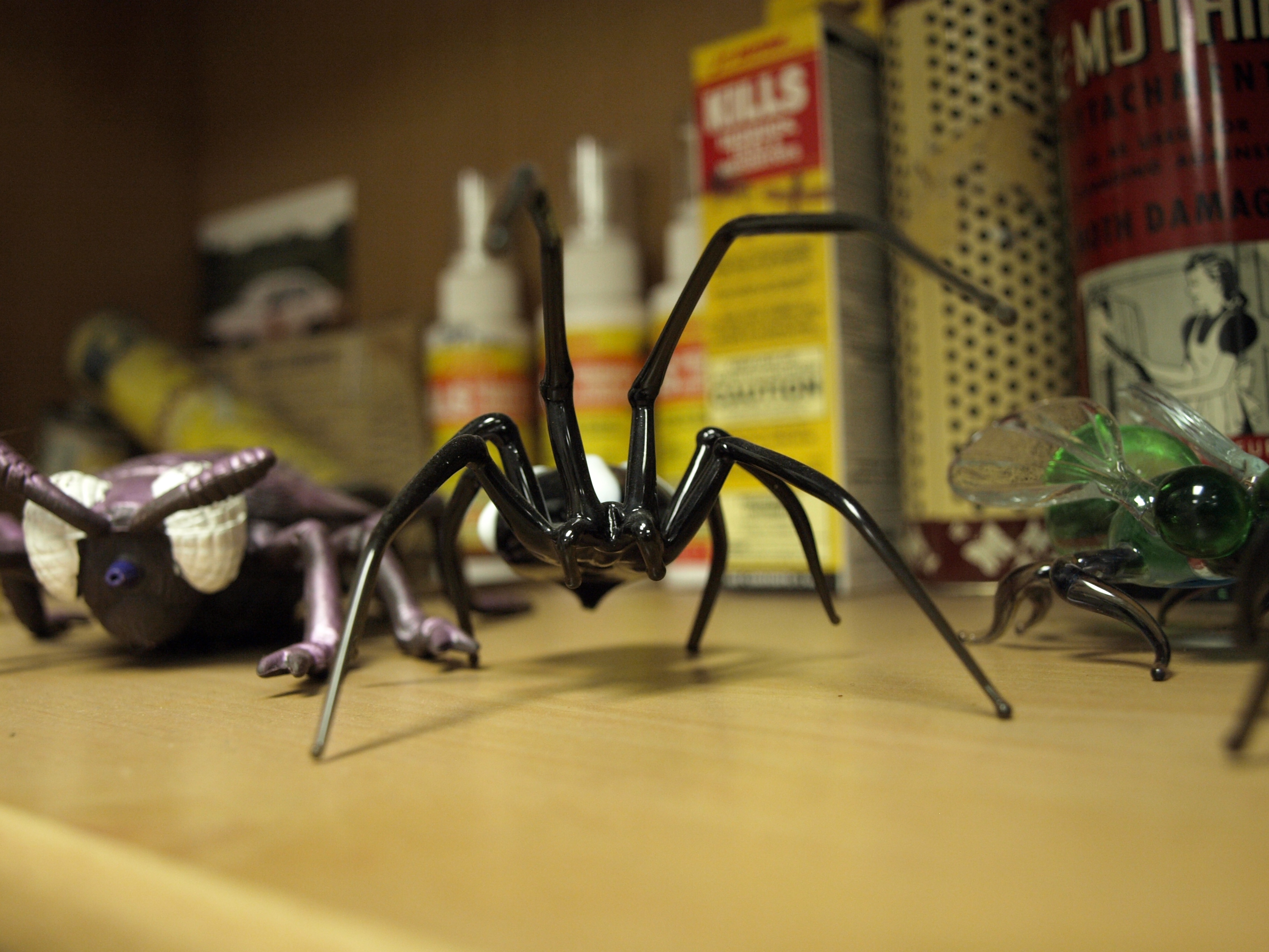 Photo of a glass spider and various historical pest control items on a shelf at the Central Exterminating Company's main office.