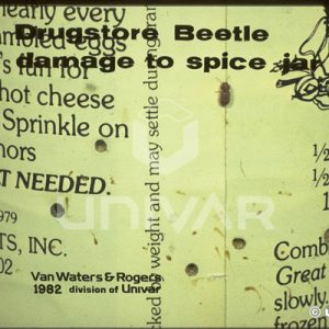 Drugstore Beetle Damage
