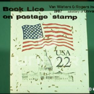 Book Lice on Postage Stamp